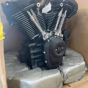 2022 Harley Davidson 117 ci Milwaukee eight 1923 cc motor